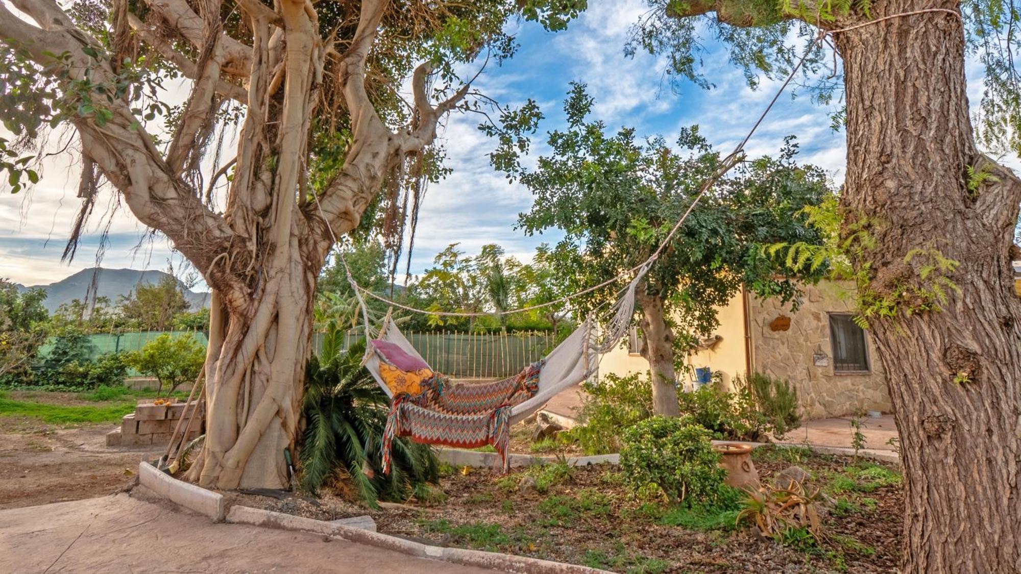 Orange Blossom Finca Unique Valensiya Dış mekan fotoğraf