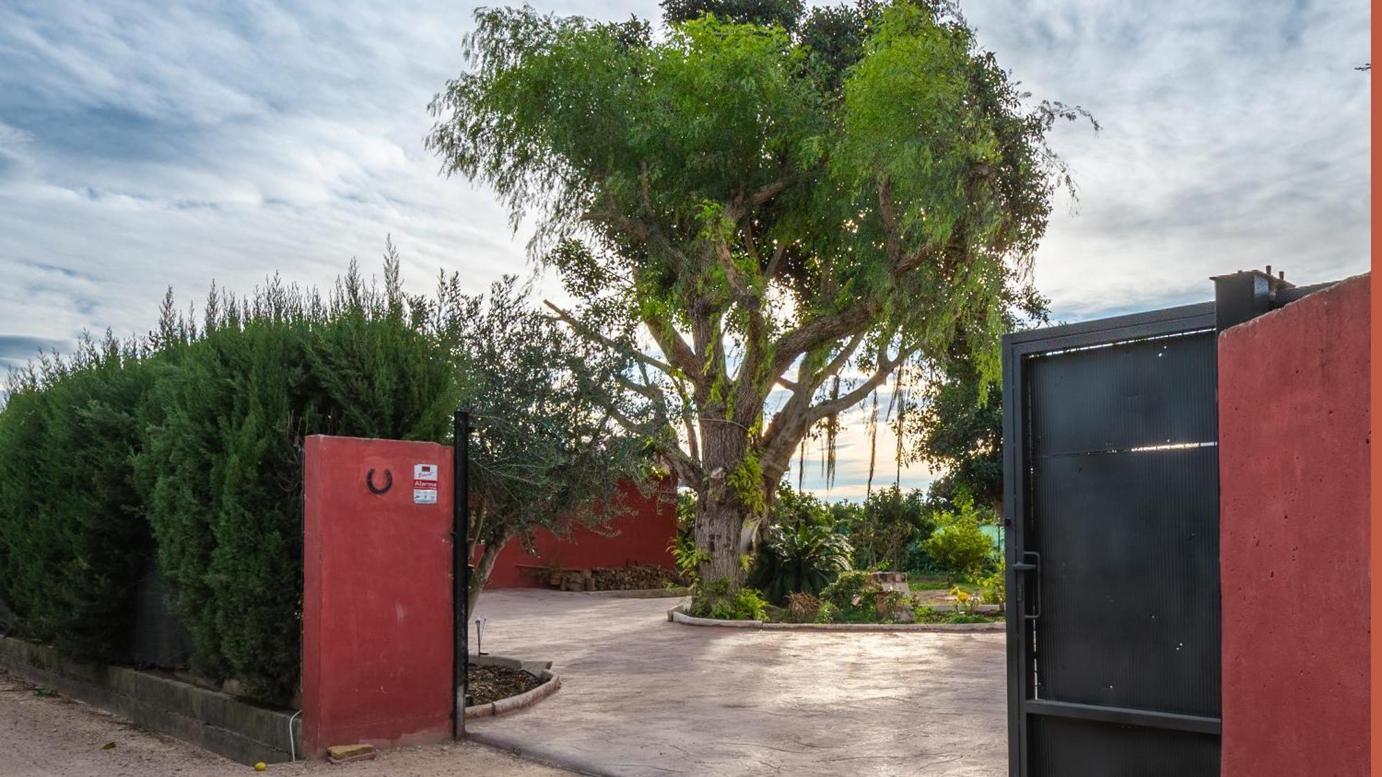 Orange Blossom Finca Unique Valensiya Dış mekan fotoğraf